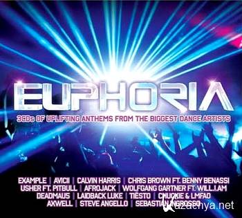 Ministry Of Sound: Euphoria 2011