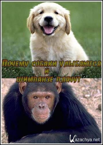       / Why Dogs Smile & Chimpanzees Cry (1999) SATRip