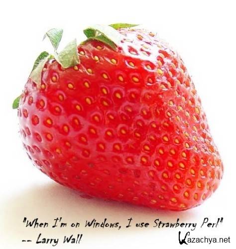 Strawberry Perl 5.12.3.0 64/32bit + Portable (English)