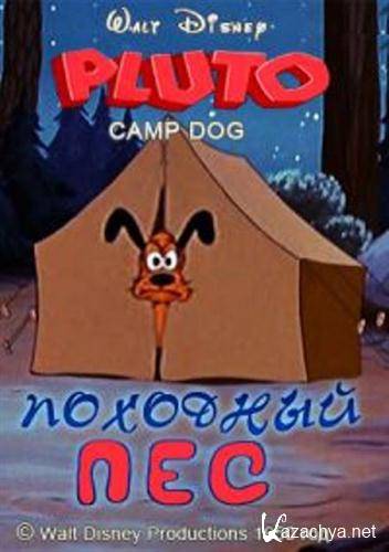   / Camp Dog (1950 / DVDRip)