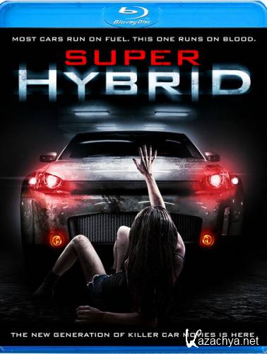  / Hybrid (2010) HDRip