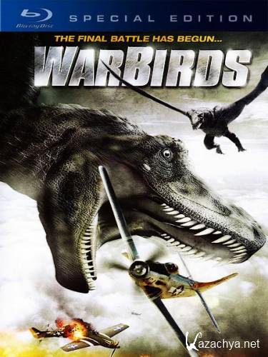 - / Warbirds (2008) HDRip