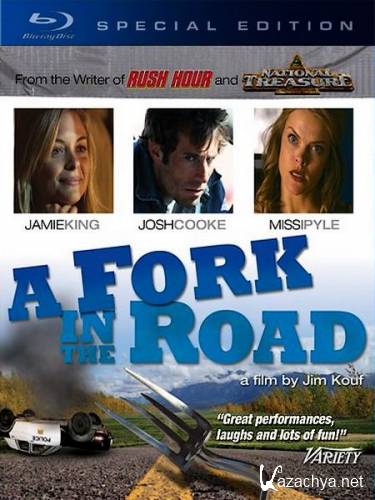    / A Fork in the Road (2010) BDRip 720p