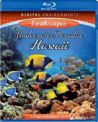    / Underwater Paradise Hawaii (2009) BDRip