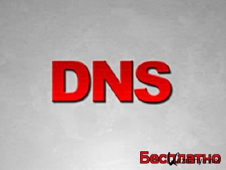    DNS   (2009) DVDRip