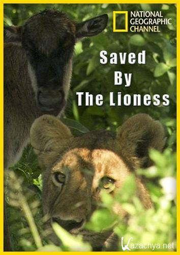   / Saved By The Lioness (2011) HDTVRip