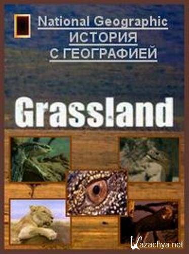  .  / Built for the Kill. Grassland (2001) DVDRip