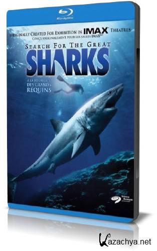     / Search for the Great Sharks (1995) HDTVRip