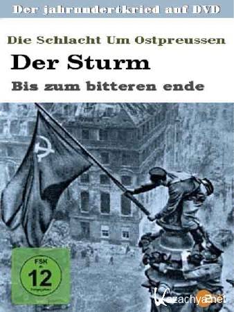 :     / Der Sturm: Bis zum bitteren ende (2006) DVDRip