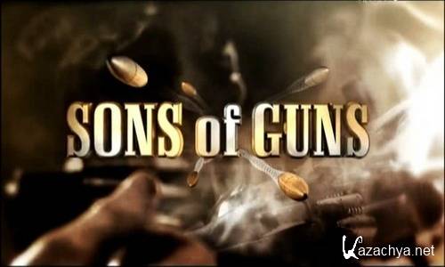    (8 )  Sons of Guns [   Discovery, SATRip]