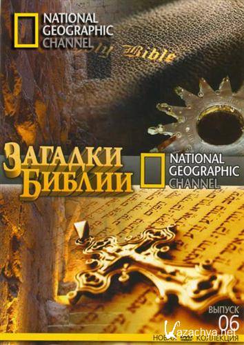  .    / Riddles of the Bible: Cain and Abel (2008) SATRip