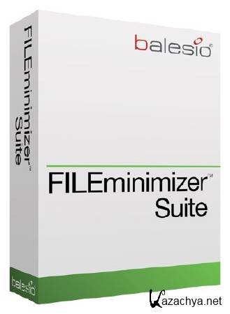FILEminimizer Suite 7.0.0.235 (Multi) 2011