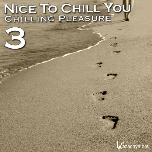 Nice To Chill You 3 (2011)