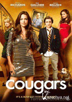   /   / Cougars, Inc (2011) HDRip