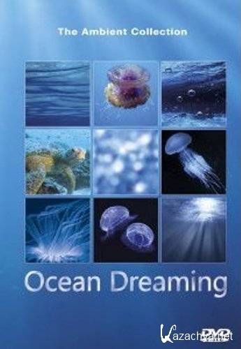   / Ocean Dreaming (2011) DVDRip