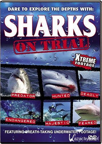    / Sharks on Trial (2005) SATRip