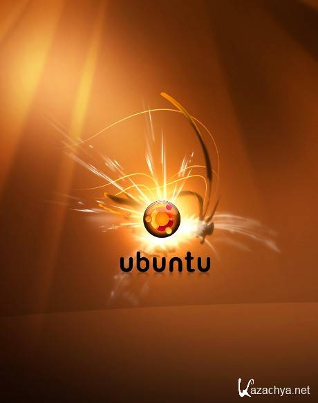 Ubuntu 10.10 x64     