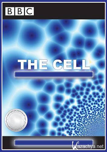 BBC.  (3   3)  / BBC. The Cell (2009) SATRip