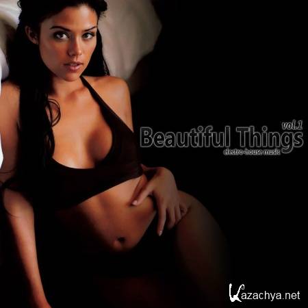 Beautiful Things vol.1 (2011)