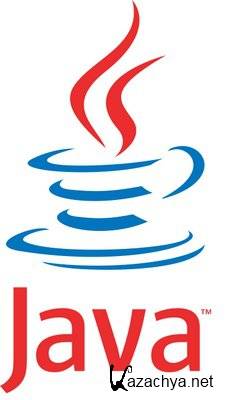 Java SE Runtime Environment 6.0 Update  29 & 7.0 Update 1 (4 in 1) 