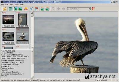  Breeze Browser Pro v1.9.7 Portable