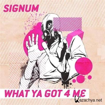 Signum - What Ya Got 4 Me (2011)