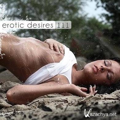  VA - Erotic Desires Volume 111 (25.10.2011). MP3 