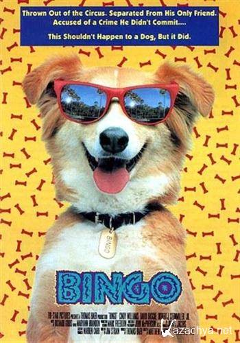    / Bingo (1991 / DVDRip)