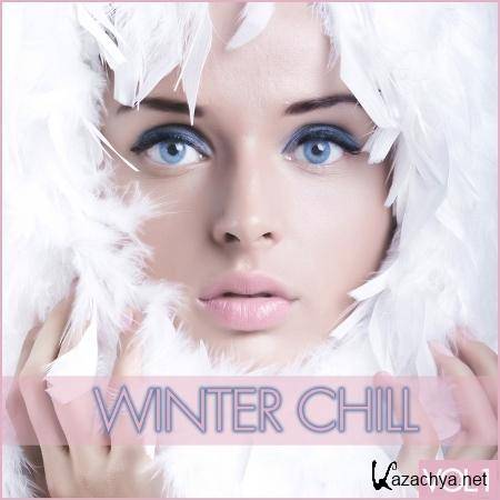 VA - Winter Chill Vol 1 2011