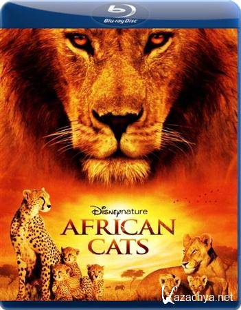  :   / African Cats (2011 / BDRip-AVC 1080p / 3.49 Gb)