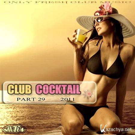 Club Cocktail part 29 (2011)