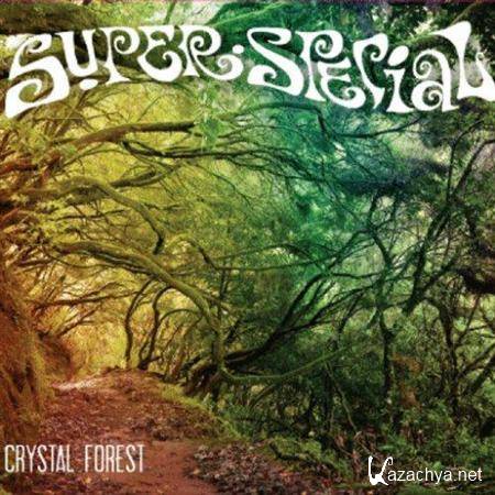 Super Special - Crystal Forest 2011 (FLAC)