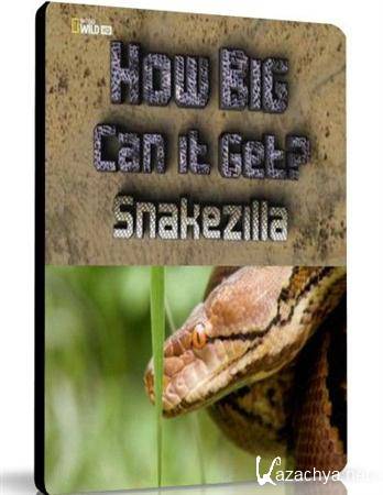 National Geographic.   .    / How Big Can It Get? Snakezilla (2011) HDTVRip