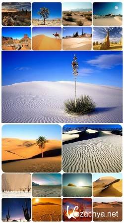 �������� ���� - ��������� ���������  2 (2011)