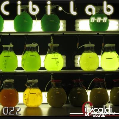 Cibilab 11 11 11 (2011)