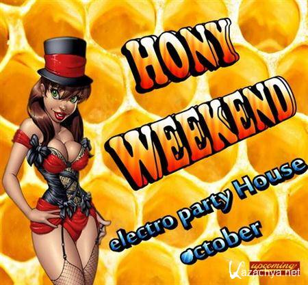 VA-Electro Party Honey Weekend (2011)