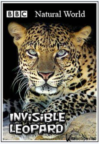  .   / Natural World. Invisible Leopard (2009) SATRip