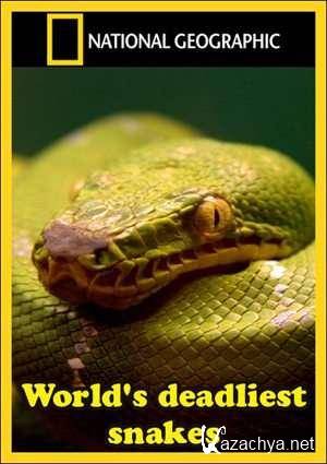      / World's Deadliest Snakes (2010/HDTVRip)