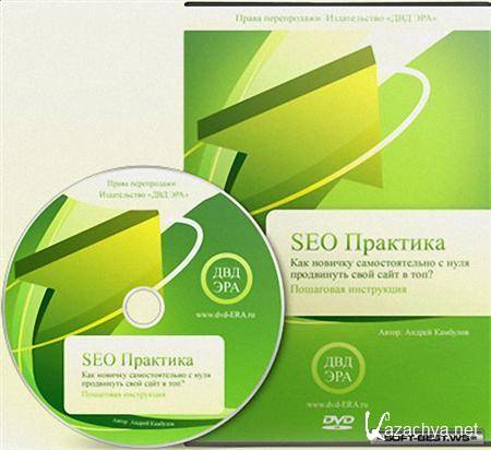 SEO  [2011, RUS]DVDRip