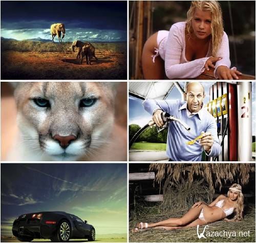 ���� - ��������� �������� (����� 33)