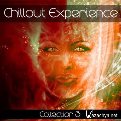 Chillout Experience Collection Vol. 3 (2011)