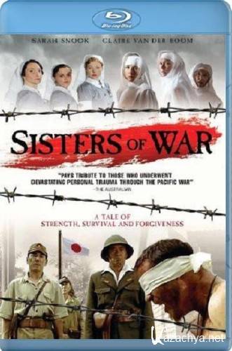   / Sisters of War (2010/BDRip-AVC/1200mb)