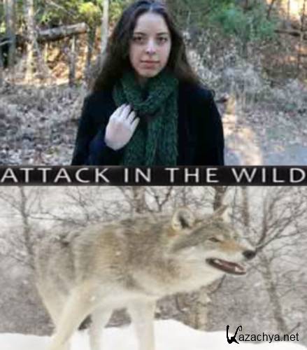 ��������� ������ / Attack In The Wild: Coyote Mystery&nbsp;(2010)&nbsp;SATRip