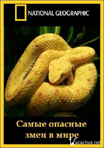 National Geographic:      / Worlds deadliest snakes (2010/HDTVRip/1700mb) 