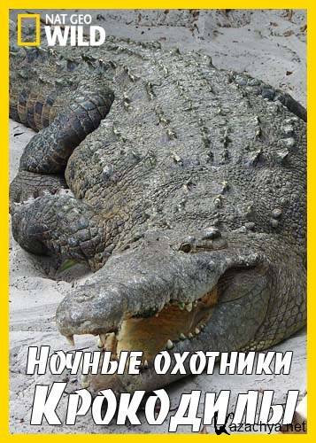  .  / Nightstalkers. Crocodiles (2011) HDTV (1080i)