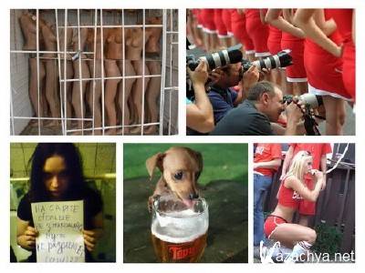 Подборка прикольных картинок № 438 Подборка прикольных картинок № 438