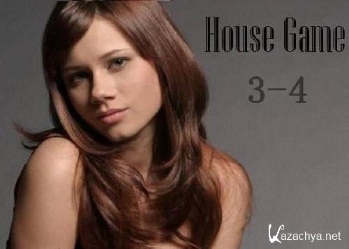 House Game v.3-4 (2011)