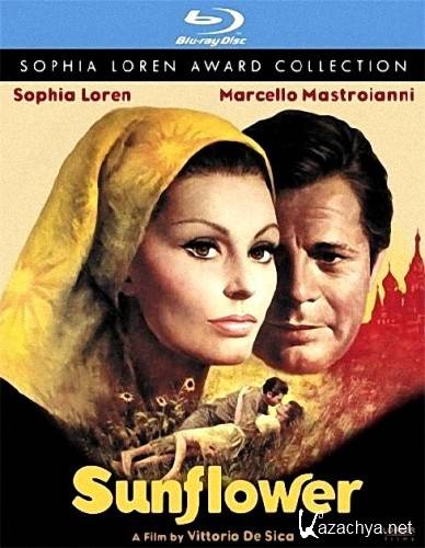  / Sunflower / I girasoli (1970) BDRip 720p