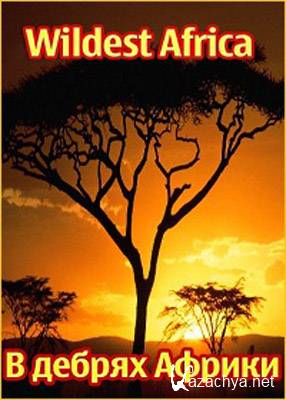  :   / Namibia: The Sands of Time (2010) HDTVRip 