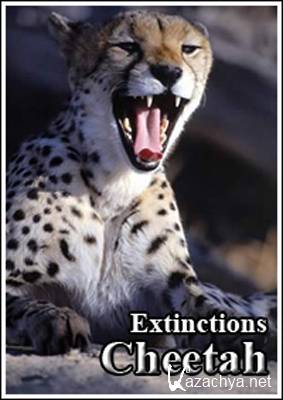   .  / Extinctions. Cheetah (2010) SATRip 